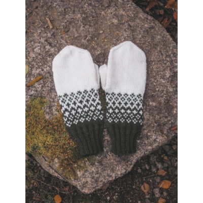 Hile-lapaset ohje, FIN