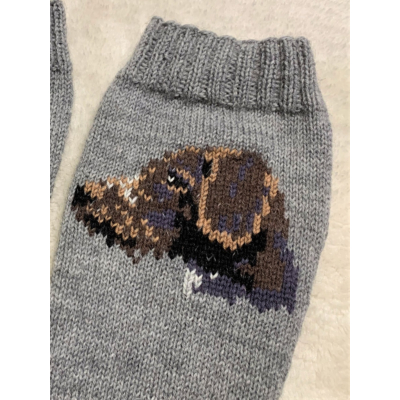 German Shorthaired Pointer Socks